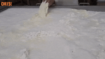 PicciauFormaggi GIF