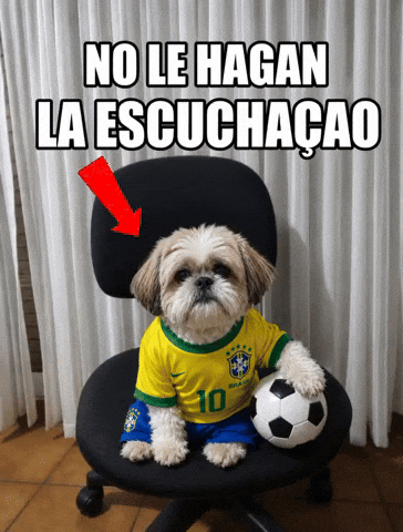 Football Futbol GIF