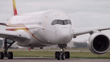 Airplane Airbus GIF by Hong Kong Airlines
