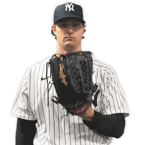 New York Yankees Yankees GIF - New York Yankees Yankees Yankees