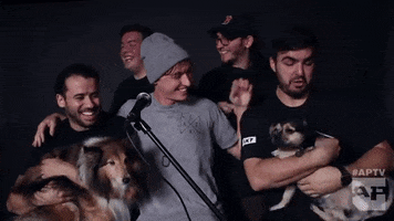 happy state champs GIF by Alternative Press