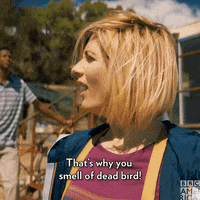 Dead-bird GIFs - Get the best GIF on GIPHY