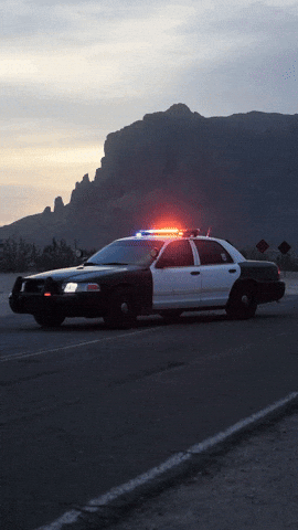Ford Vic GIF