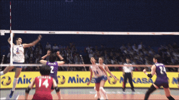 Happy No Way GIF by Volleyball World