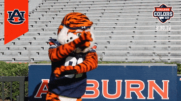 College Football GIF by College Colors Day