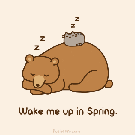 Digital art gif. A gray cat sleeps on top of a snoozing brown bear. Sleepy z's rise from them both. Text, Wake me up in Spring."