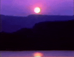 fuzzyghost 80s vhs sunset vaporwave GIF