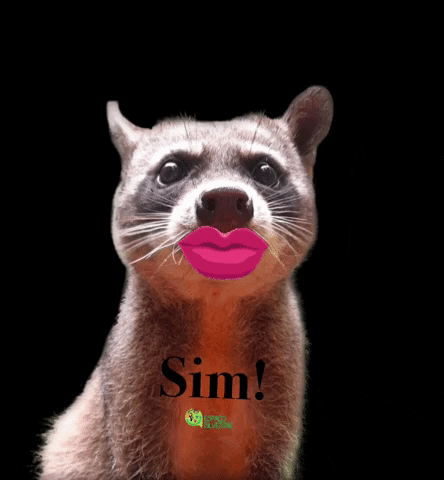 Sim Yes GIF by Instituto Espaço Silvestre