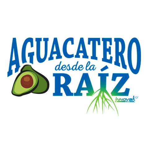 Avocado Raiz Sticker by Innoval Global
