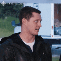 It Could Work Schitts Creek GIF by CBC