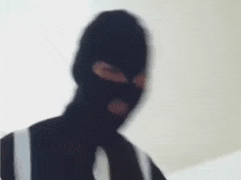 Wtf GIF