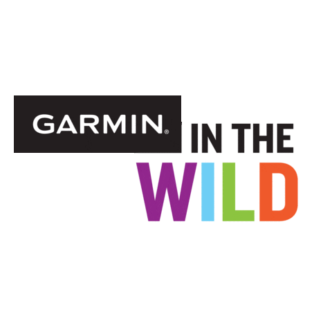 beat yesterday garmin