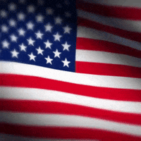 American Flag Usa GIF by MOODMAN