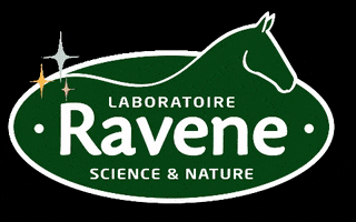 Horse Cheval GIF by Ravene