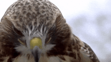 200.gif?cid=60e32e67vxtx3rjai8bh71927289