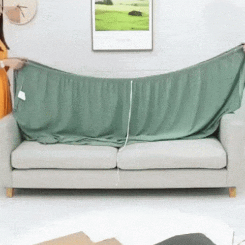 Couch Covers GIF