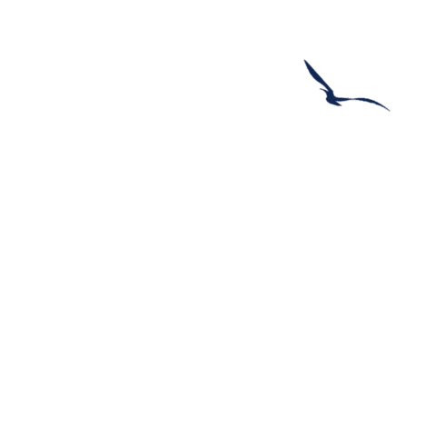 Araponga Seguros Sticker