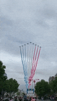 Bastille Day Paris GIF by Storyful