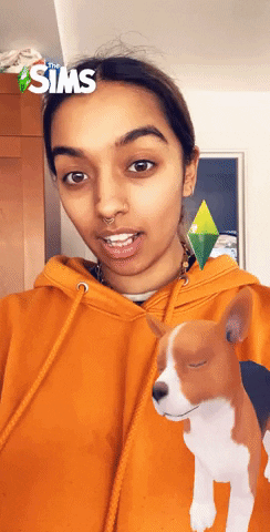 Animated GIF