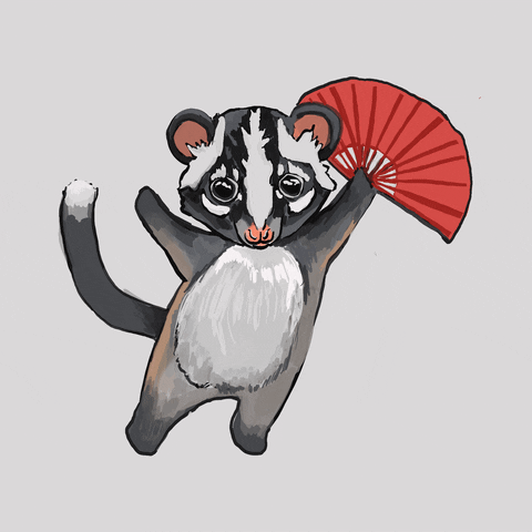 Civet GIF