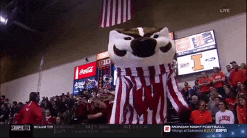 Wisconsin Badgers Volleyball GIF by NCAA Championships