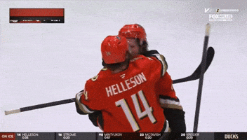 Ducks Mason GIF