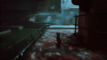 Cat GIF by Annapurna Interactive