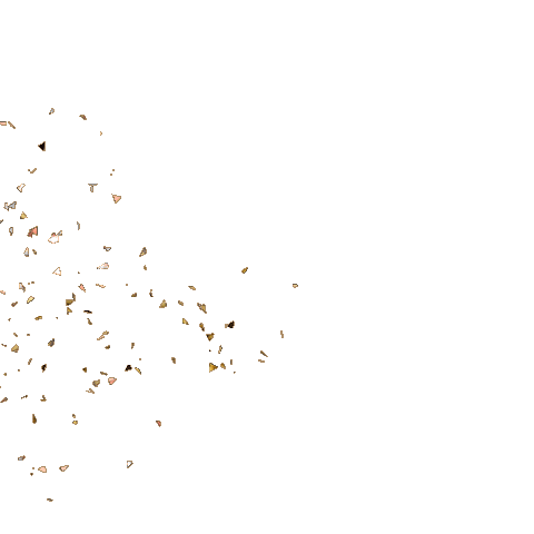 Nora Flippi Sticker by Proartist Academy