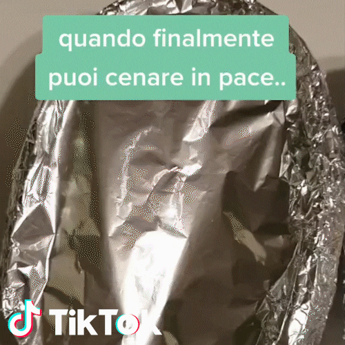 Fame Cena GIF by TikTok Italia