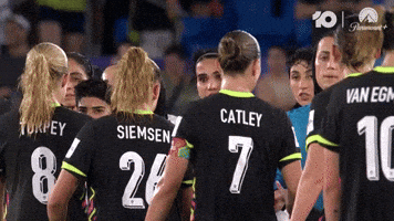 Handshake GIF by Football Australia