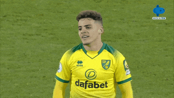 200.gif?cid=fc005b083d764e5141804fcb9678fde1756645f0c55ecf08&rid=200.gif&ct=g