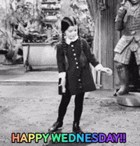 Wednesday Morning GIF by MOODMAN Wednesday Morning GIF by MOODMAN