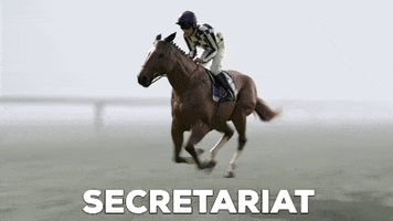 Horse Racing Secretariat GIF by Kentucky Derby