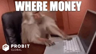 No Money GIF