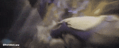 Kurobotww GIF