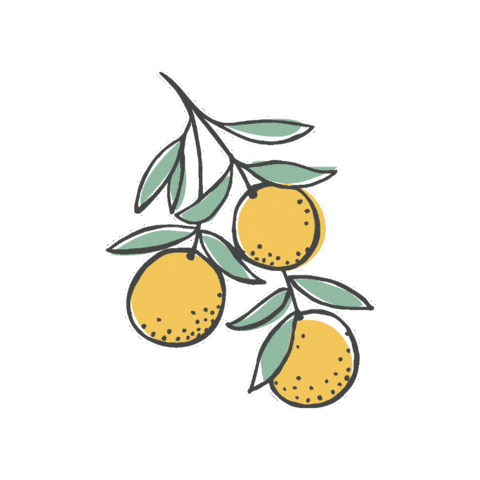 Sebastiano's Sticker