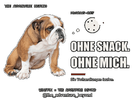 Snack Bulldog Sticker by The Adventure Beyond