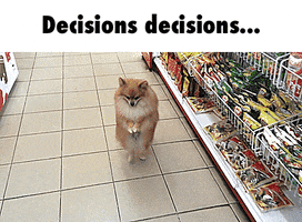 Which One Decisions GIF