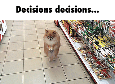 Which One Decisions GIF - Find & Share on GIPHY