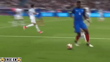 janvejdelek france england pogba GIF