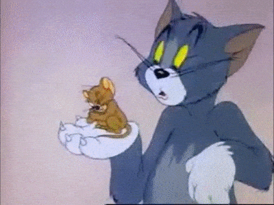 Do you like Tom  Jerry
