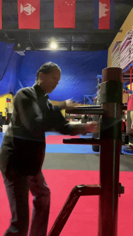 Wingchun GIF