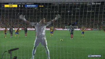 Ramos GIF