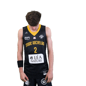 Basket Sticker by Stade Rochelais