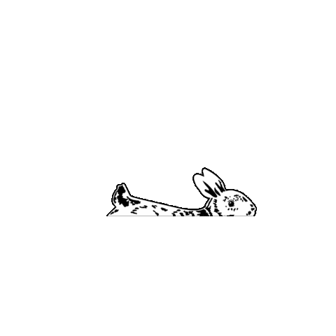 The White Rabbit Coffee House Sticker