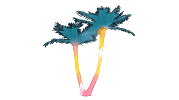 Panamá Sticker by Palmera-presenta