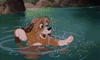 the fox and the hound dog GIF by Disney