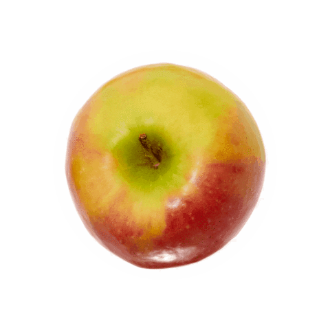 Sticker by MAX&Co.