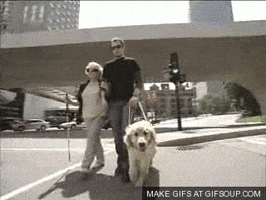 blind GIF