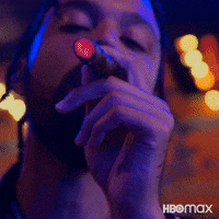 Smoking Cigar GIF by HBO Max